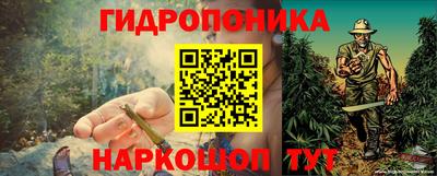ALPHA-PVP Новозыбков