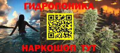 сатива Новодвинск