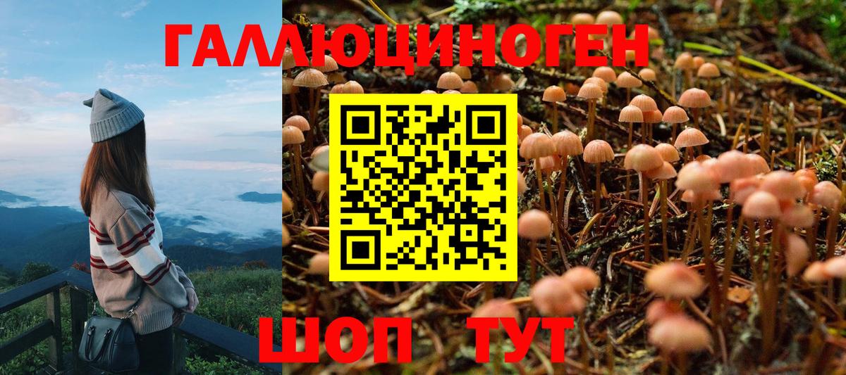 Псилоцибиновые грибы GOLDEN TEACHER Торжок