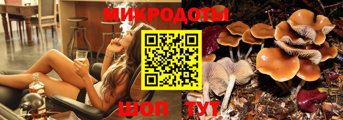 Псилоцибиновые грибы GOLDEN TEACHER  где продают наркотики  Торжок  Вход с VPN 